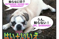 はい＆いいえ(=hai&iie) How to answer negative questions.