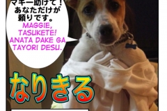 なりきる=narikiru