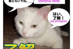 了解=ryoukai