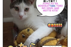 たら=tara