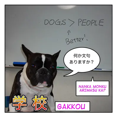 学校 gakkou school related japanese maggie sensei