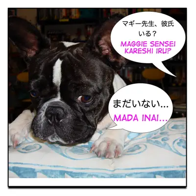 Chaiselong Pastor hensigt How to use いる＋ある ( = iru + aru) – Maggie Sensei