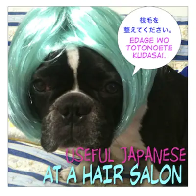 Useful Phrases At A Hairsalon Maggie Sensei