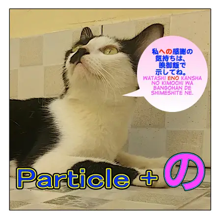 particleno-2