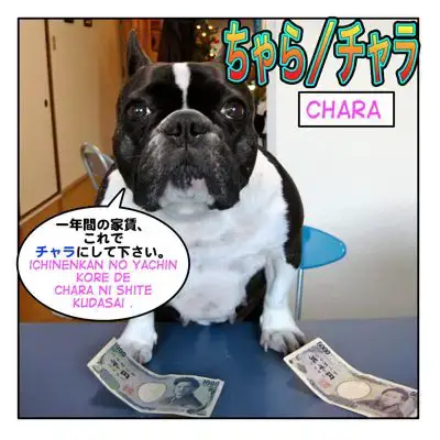 ちゃら チャラ Chara Mini Lesson Maggie Sensei