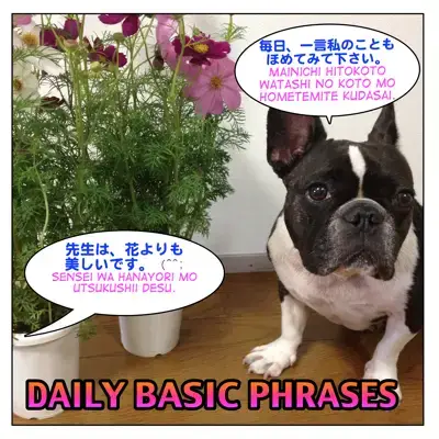 Daily Basic Phrases Twitter Follow Up Lesson Maggie Sensei