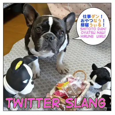 Japanese Net Slang Twitter Slang ツイッター用語 Tsuitta Yougo Maggie Sensei