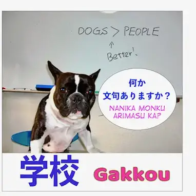 学校 Gakkou School Related Japanese Maggie Sensei