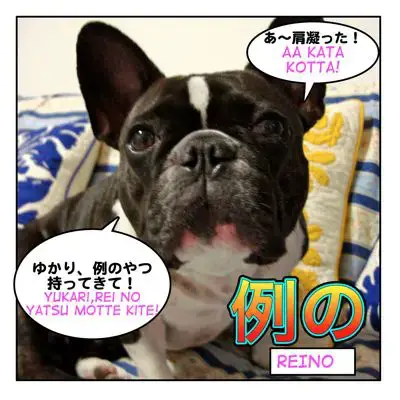 例の Reino Mini Lesson Maggie Sensei