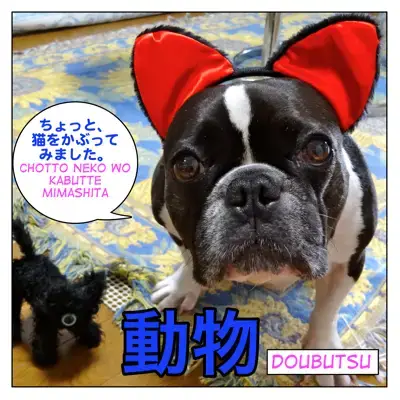 動物 Doubutsu Animal Related Expressions In Japanese And Many More Maggie Sensei