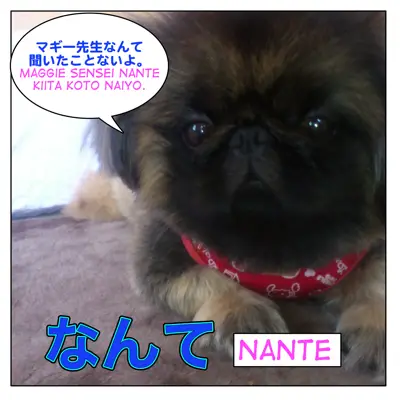 How to use なんて ( = nante) – Maggie Sensei