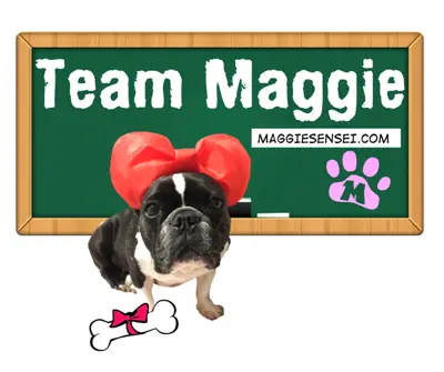 teammaggiebrighterpic