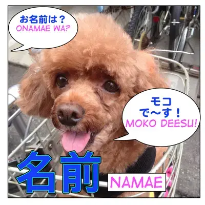 名前 Namae Name Related Lesson Maggie Sensei