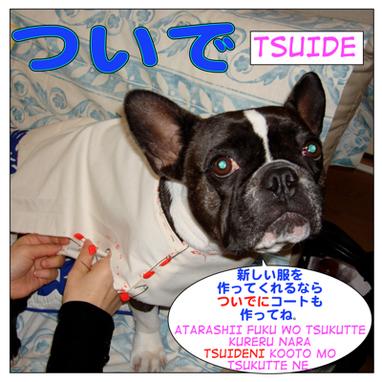 How To Use ついでに Tsuideni Maggie Sensei