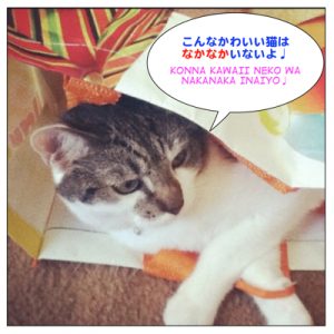 How to use なかなか ( = nakanaka) – Maggie Sensei