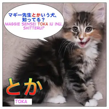 How To Use とか Toka Maggie Sensei