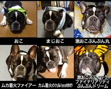 Colloquial Japanese Words Twitter Follow Up Lesson Maggie Sensei