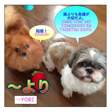 How To Use より Yori Comparative Form Maggie Sensei