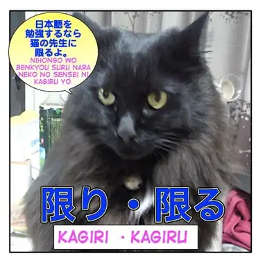 How To Use 限り Kagiri 限る Kagiru Maggie Sensei