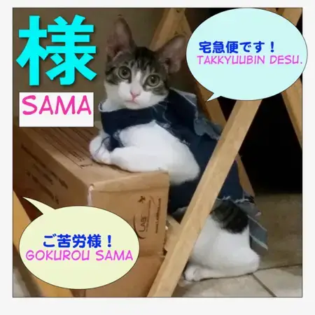 How to use 様 = さま ( = sama) – Maggie Sensei 
