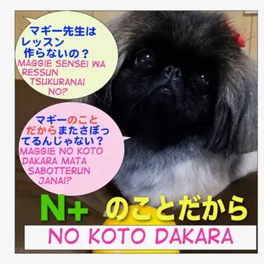 How To Use Noun のこと No Koto のことだから No Koto Dakara のことだし No Koto Dashi Maggie Sensei