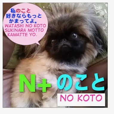 How To Use Noun のこと No Koto のことだから No Koto Dakara のことだし No Koto Dashi Maggie Sensei