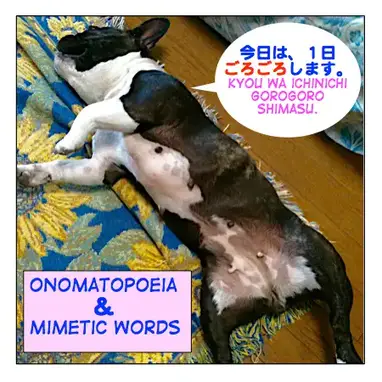 Onomatopoeia Mimetic Words 擬音語 擬態語 ぎおんご ぎたいご Giongo Gitaigo Maggie Sensei