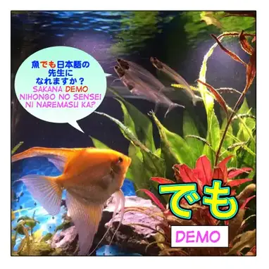 How To Use でも Demo Maggie Sensei