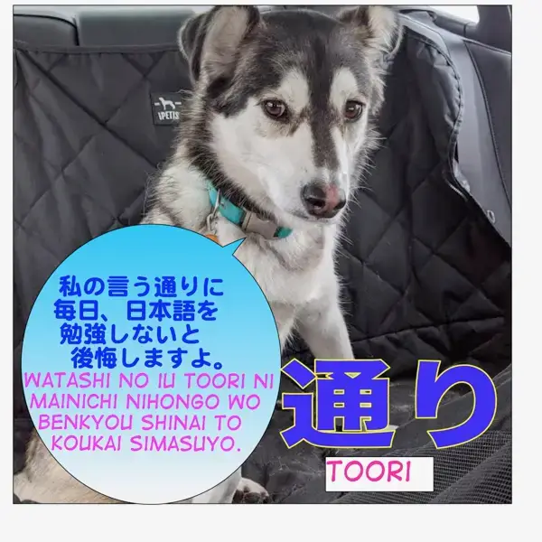 How To Use 通り とおり Toori Maggie Sensei