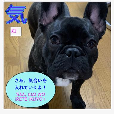 Learn JLPT N3 Grammar: ような気がする (you na ki ga suru